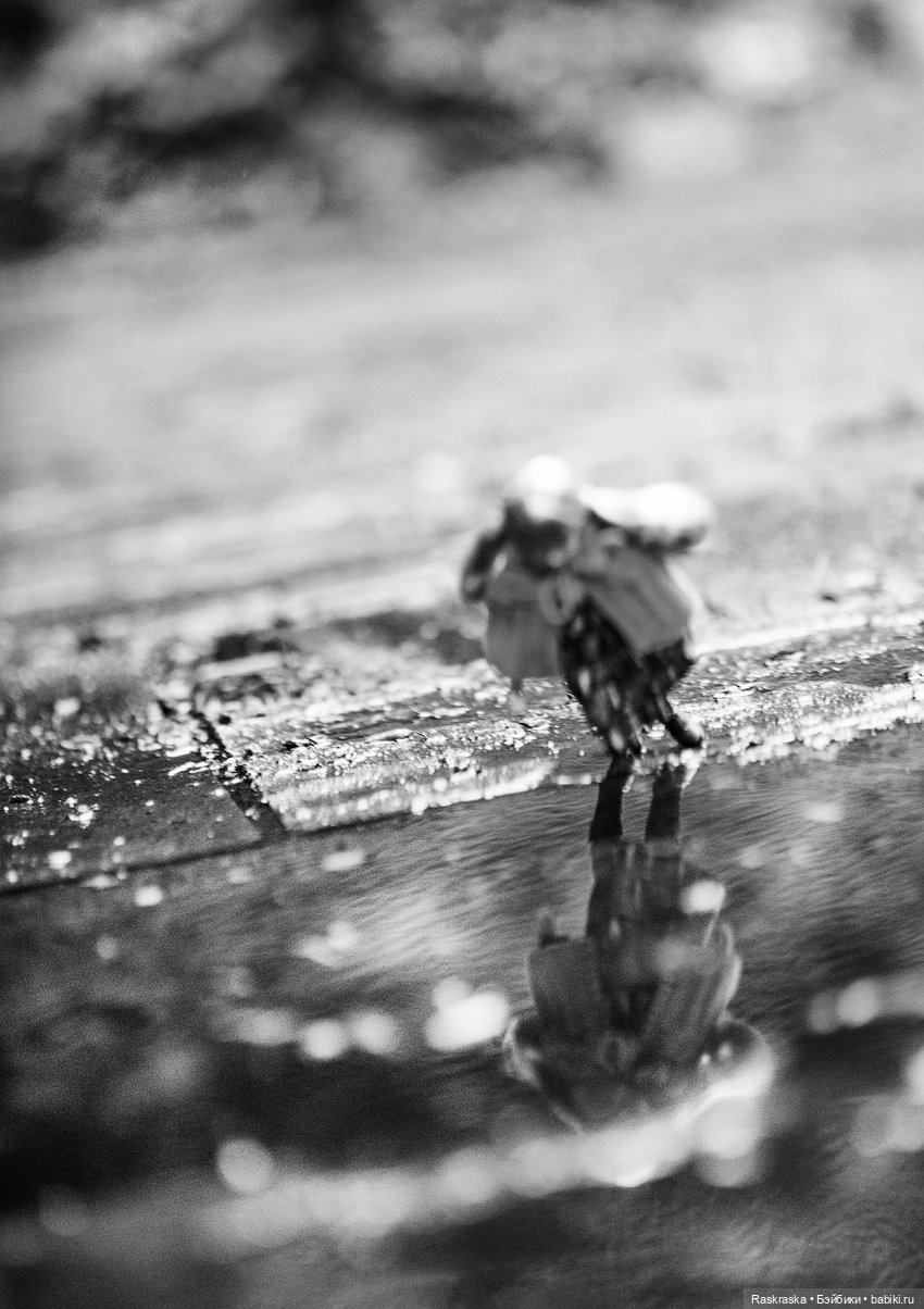 Поселилась девочка о которой я давно мечтала - малышка Руруко (фото 3)