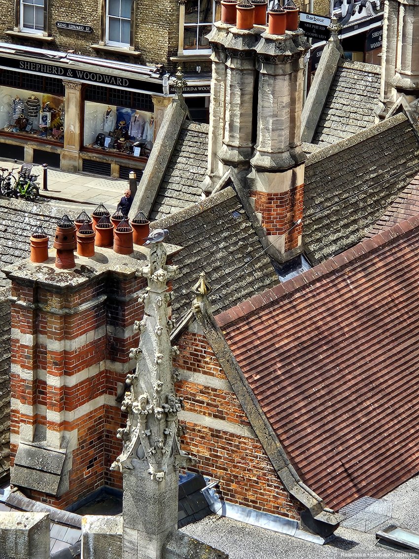 Моя Мишутка Эрика от Charlie Bears | Бэйбики Моя Мишутка Эрика от Charlie Bears (фото 9)