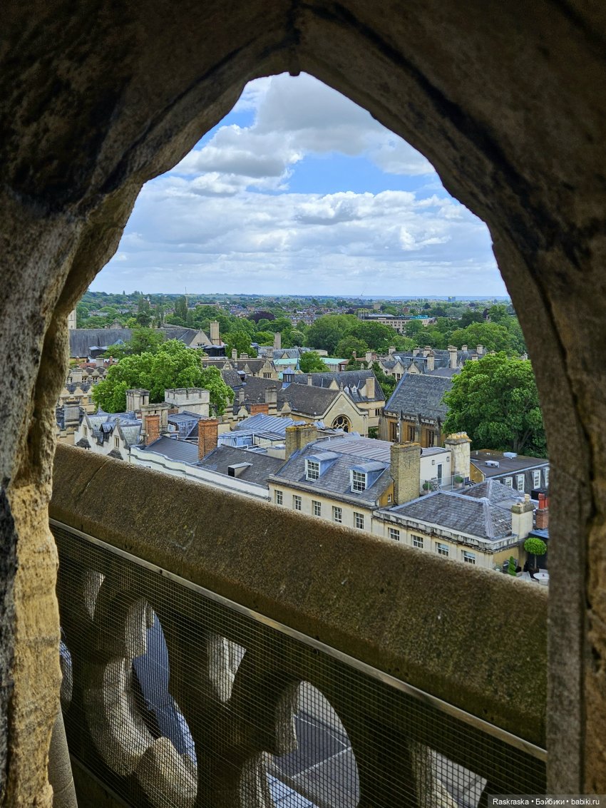 Моя Мишутка Эрика от Charlie Bears | Бэйбики Моя Мишутка Эрика от Charlie Bears (фото 8)