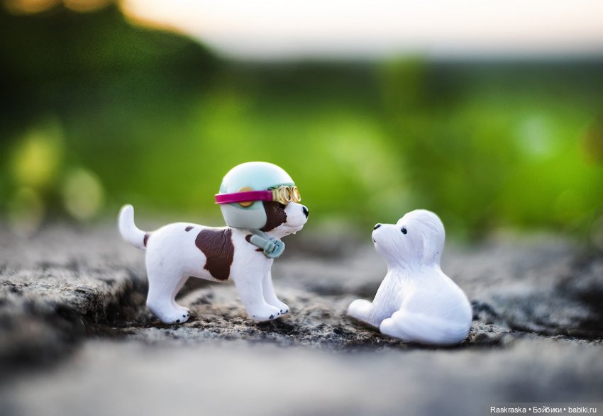 Малышки Лори, их собаки и мотоцикл