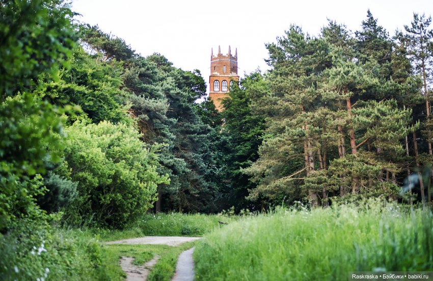 Малышки Лори, их собаки и мотоцикл