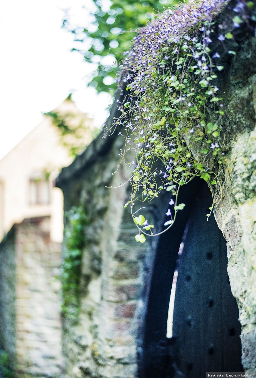 Малышки Лори, их собаки и мотоцикл