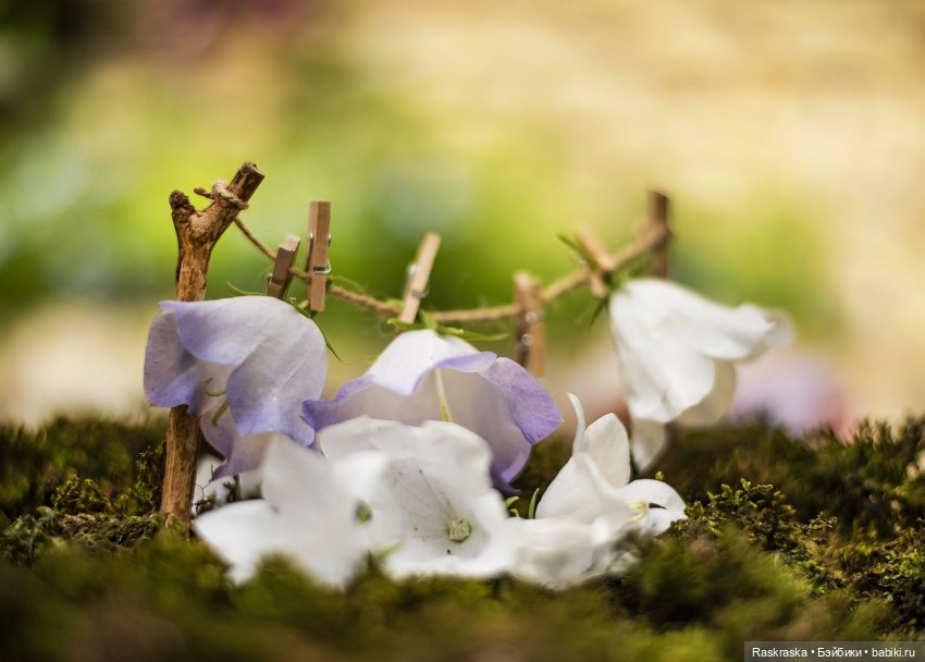 Колокольчиковые Феи — Куклы Kelly (Келли): Сестра Барби