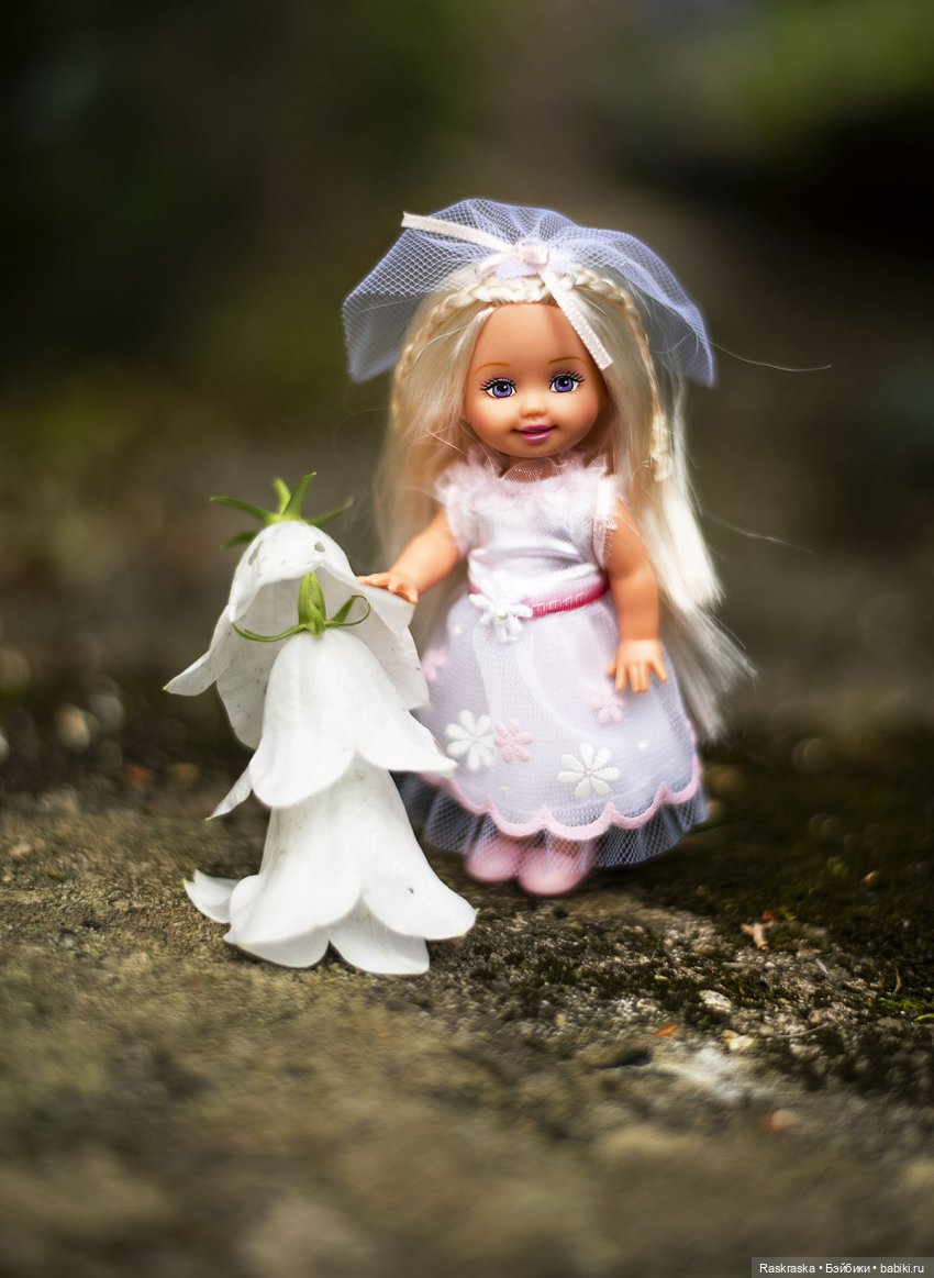 Колокольчиковые Феи — Куклы Kelly (Келли): Сестра Барби (фото 3)