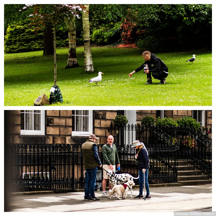 Принцесса Всея Исландии Хельга посетила Эдинбург (многобуквие и многофоточье) (фото 4)