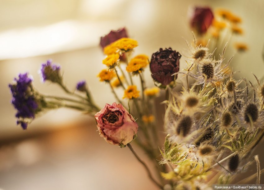 Попробовала засушить букет - делюсь результатом (некукольное!) (фото 5)