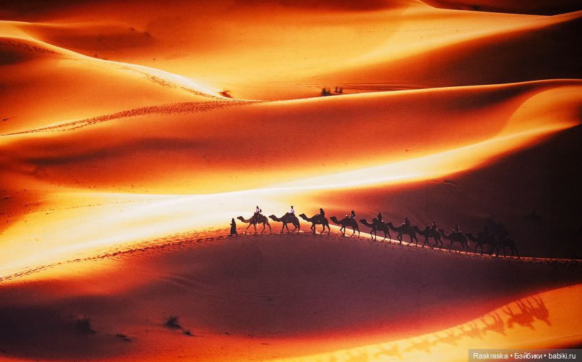 Волшебное Лето - 1 - начало