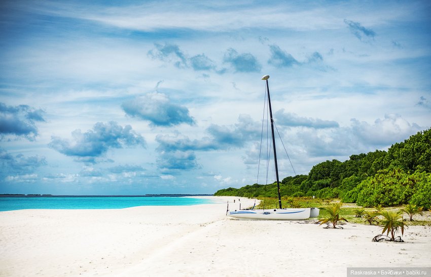 Волшебное Лето - 2 - встреча