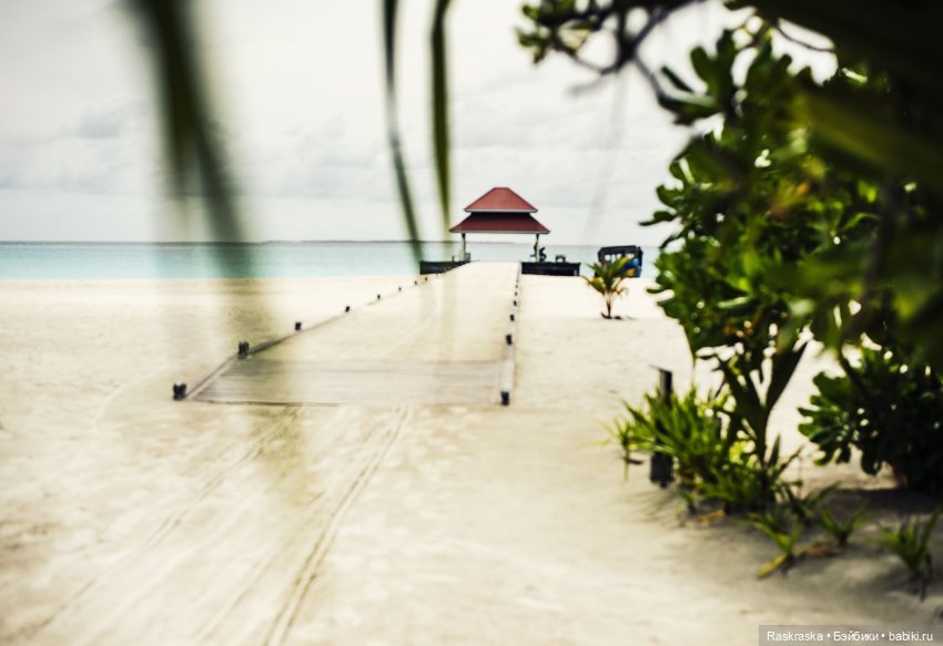 Волшебное Лето - 2 - встреча