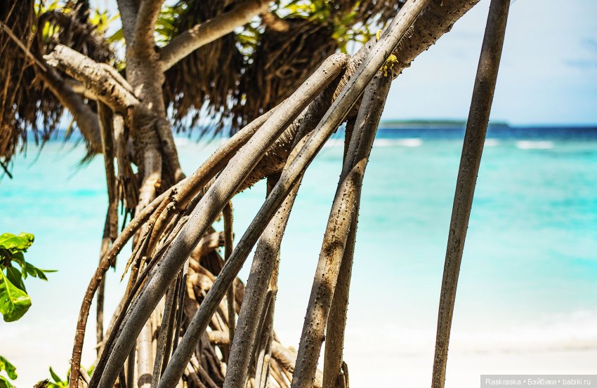 Волшебное Лето - 2 - встреча