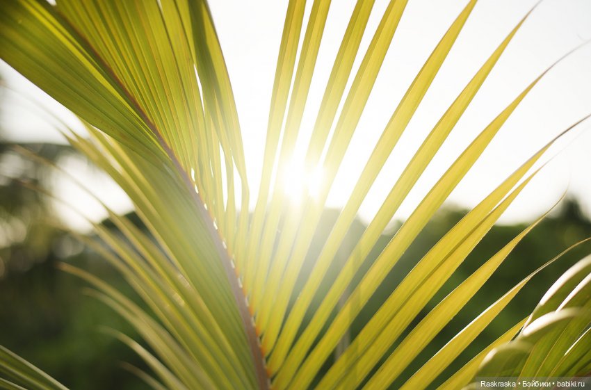 Волшебное Лето - 6 - Love Story