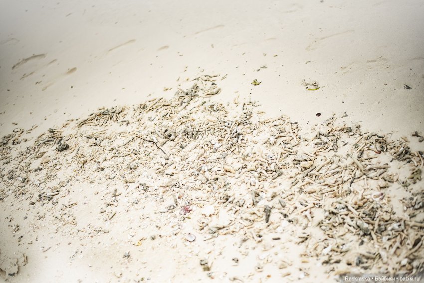 Волшебное Лето - 6 - Love Story (фото 6)