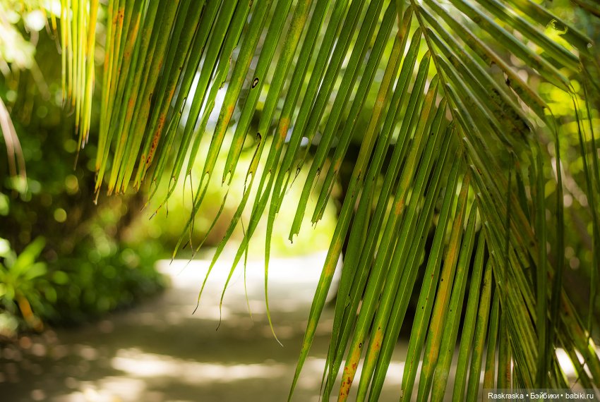 Волшебное Лето - 6 - Love Story (фото 8)