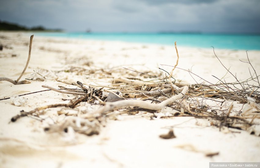 Волшебное Лето - 6 - Love Story (фото 5)