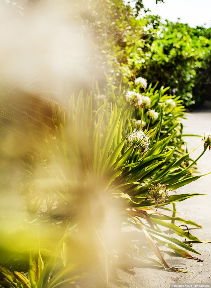 Волшебное Лето - 6 - Love Story (фото 10)