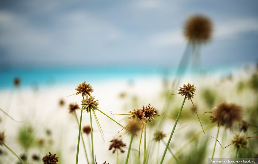 Волшебное Лето - 6 - Love Story (фото 3)