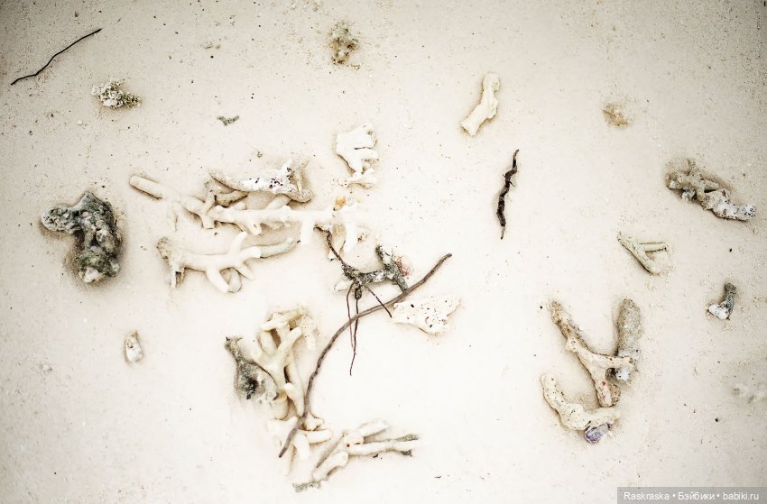 Волшебное Лето - 6 - Love Story (фото 2)