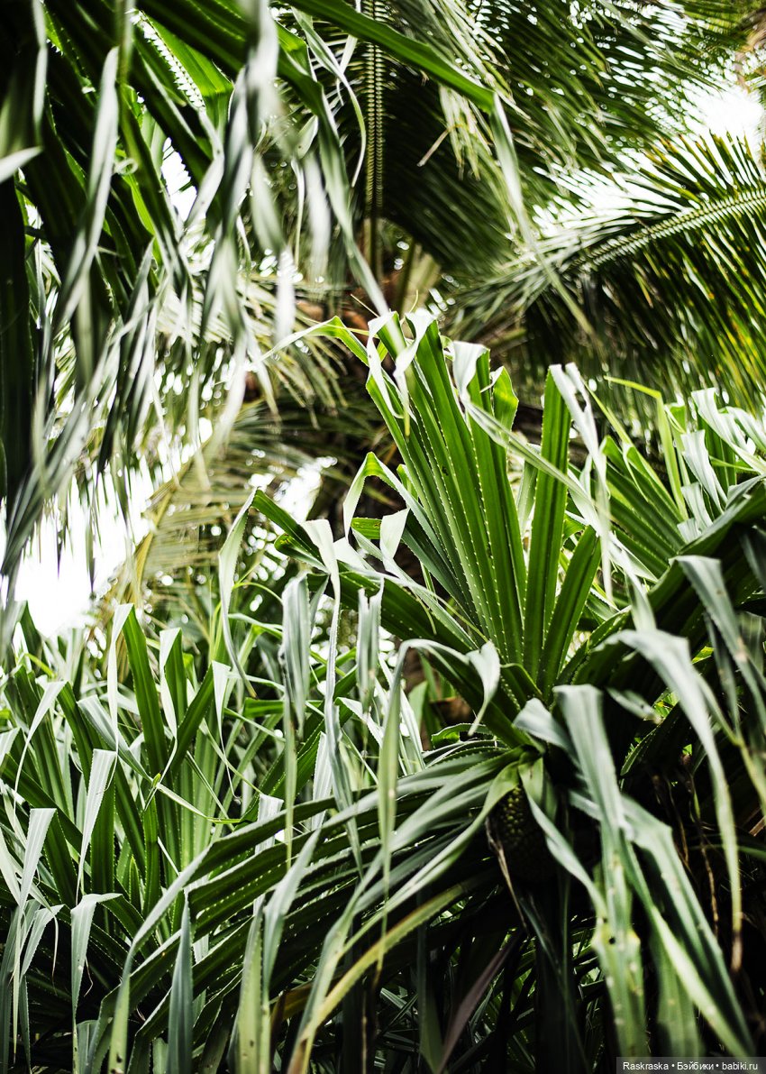 Волшебное Лето -7 - Расслабленное (фото 8)