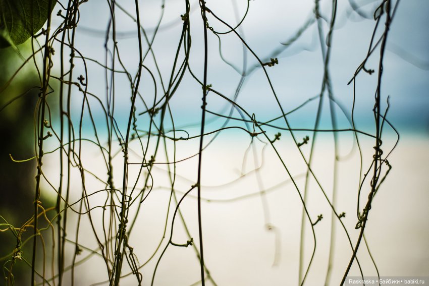 Волшебное Лето -7 - Расслабленное