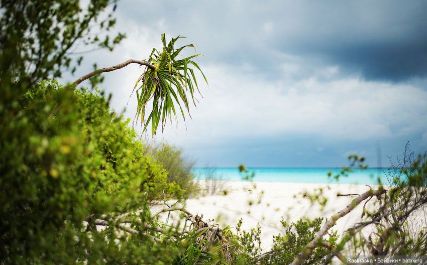 Волшебное Лето -7 - Расслабленное (фото 7)