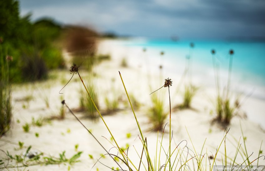 Волшебное Лето -7 - Расслабленное (фото 2)