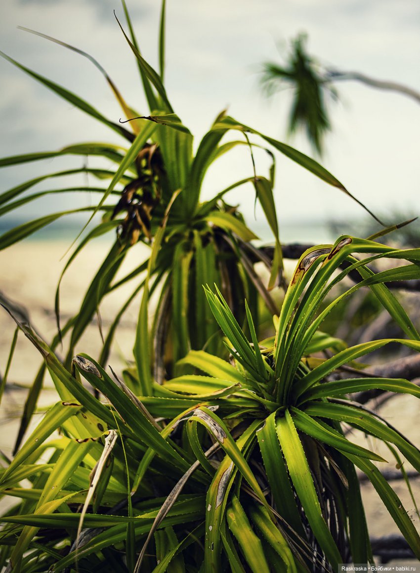 Волшебное Лето -7 - Расслабленное (фото 6)