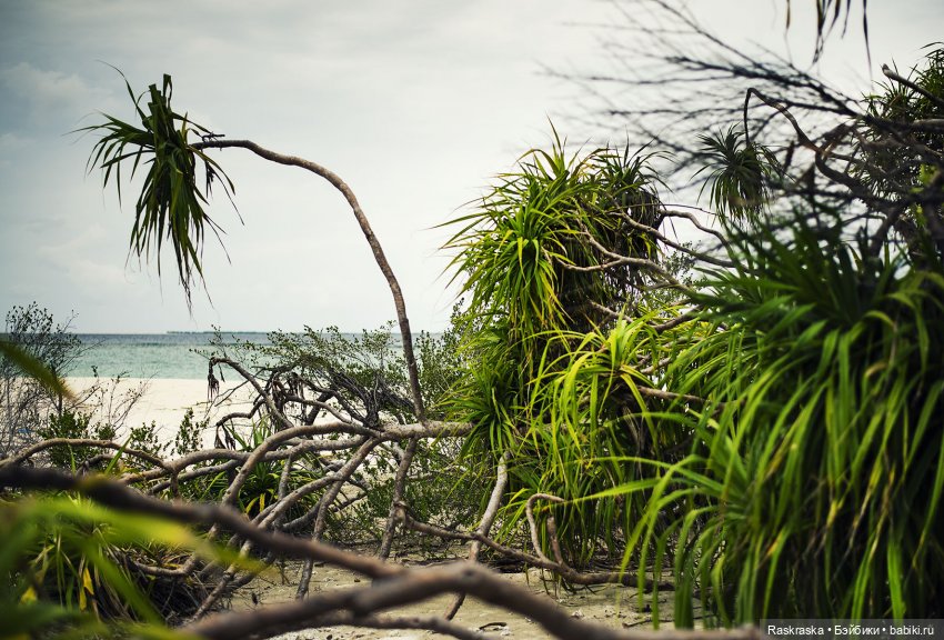 Волшебное Лето -7 - Расслабленное (фото 3)