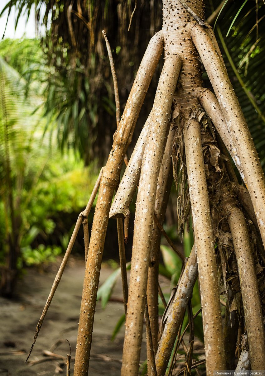 Волшебное Лето - 9 - Неторопливые дни Романа