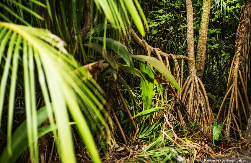 Волшебное Лето - 9 - Неторопливые дни Романа