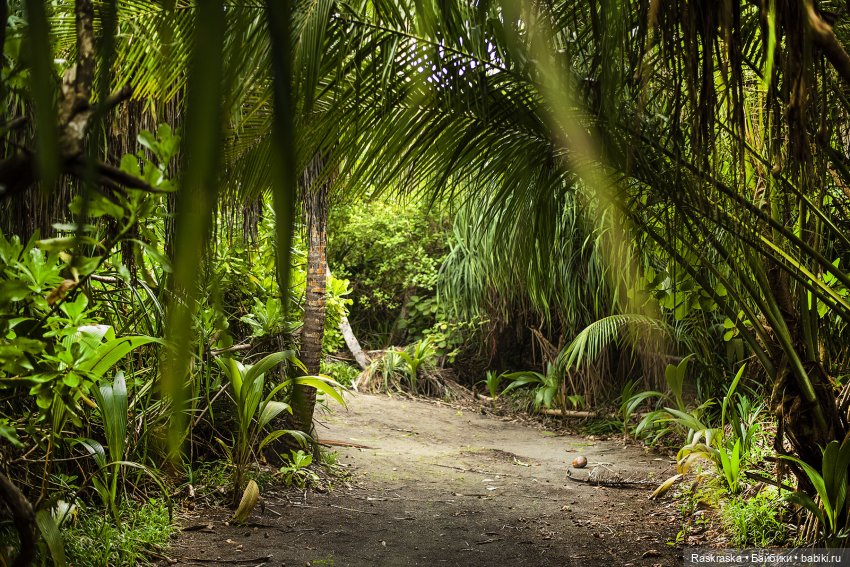 Волшебное Лето - 9 - Неторопливые дни Романа