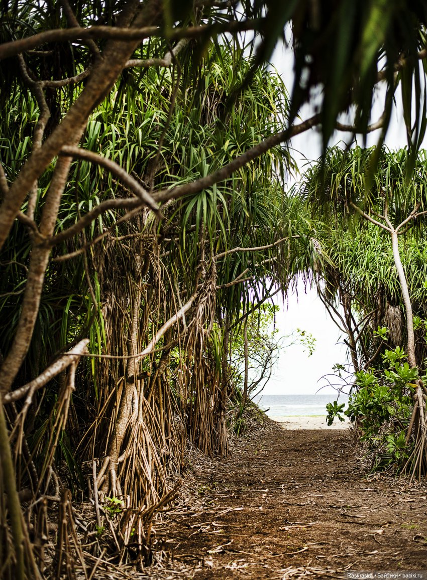 Волшебное Лето - 9 - Неторопливые дни Романа (фото 10)