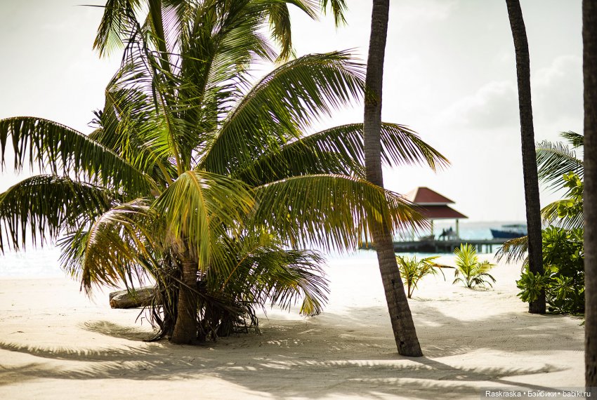 Волшебное Лето 10 - Поппи и Полуденный Зной🌞