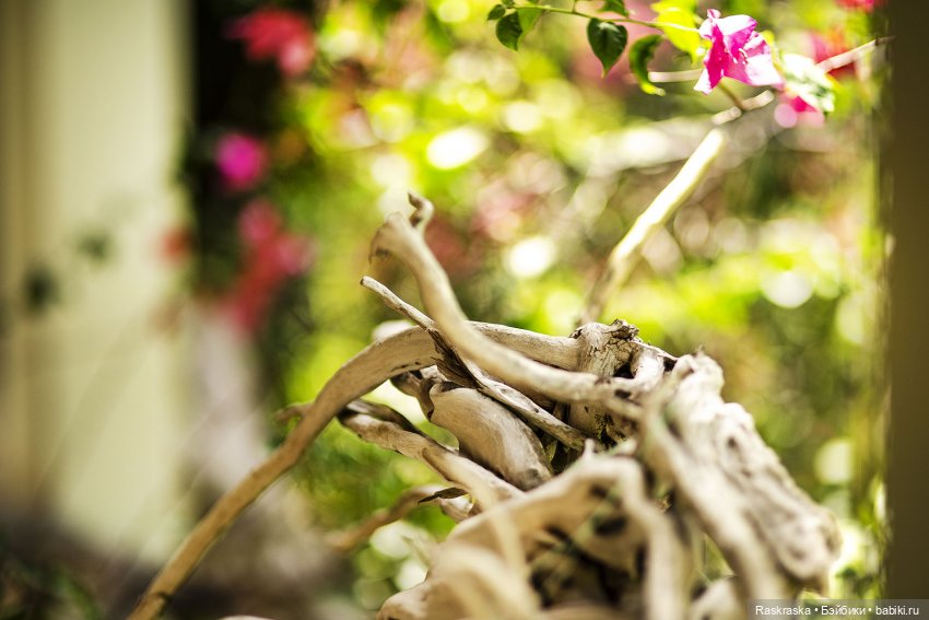 Волшебное Лето 10 - Поппи и Полуденный Зной🌞