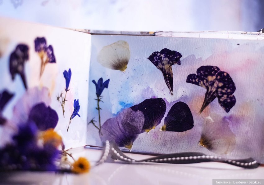 Колокольчиковые феи встретили подругу, и еще раз о засушивании цветов (фото 8)