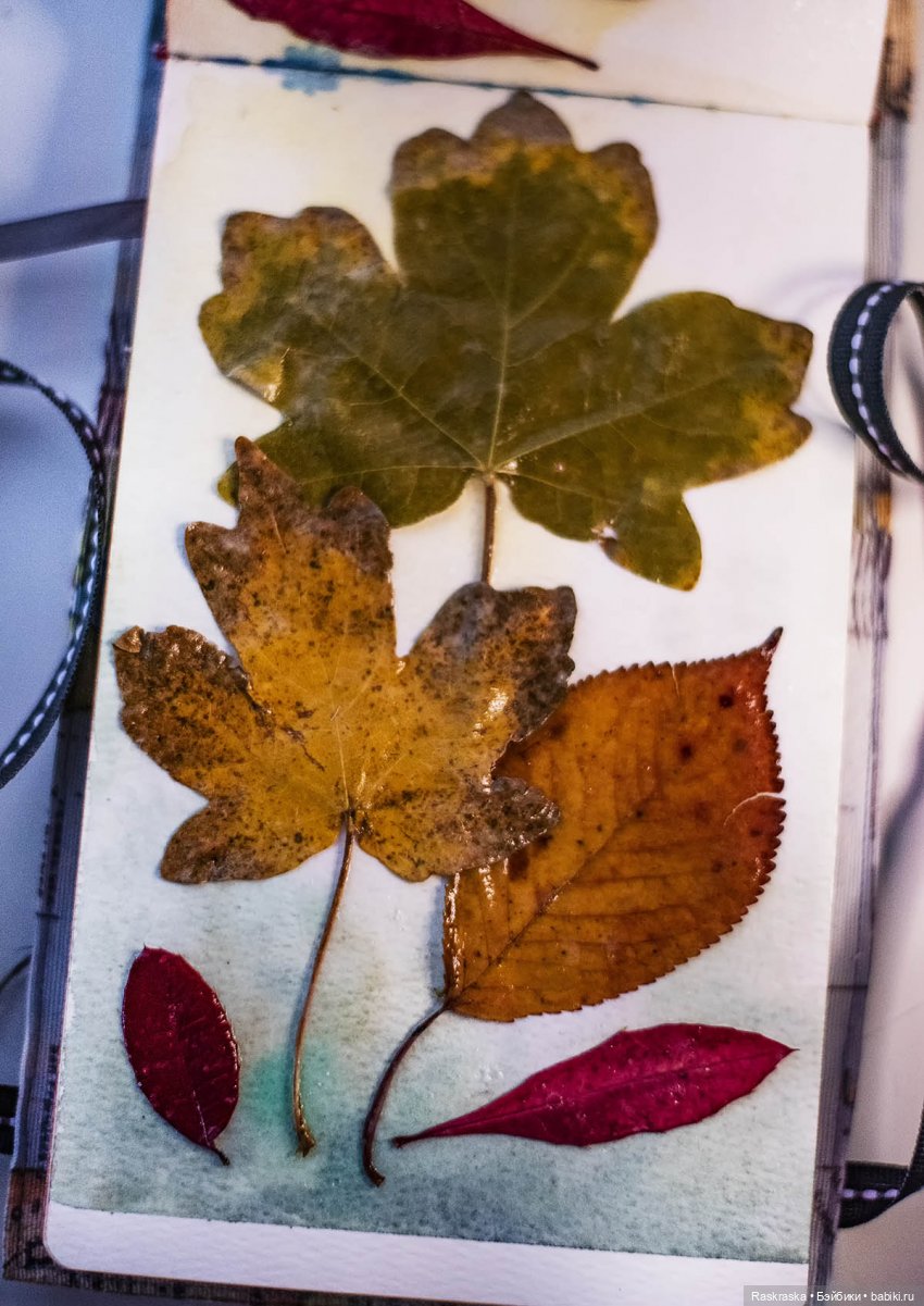 Колокольчиковые феи встретили подругу, и еще раз о засушивании цветов (фото 7)