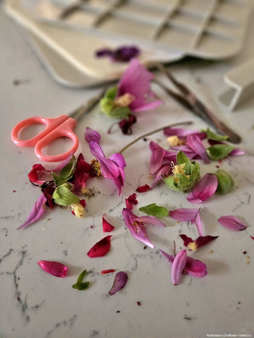 Колокольчиковые феи встретили подругу, и еще раз о засушивании цветов (фото 2)