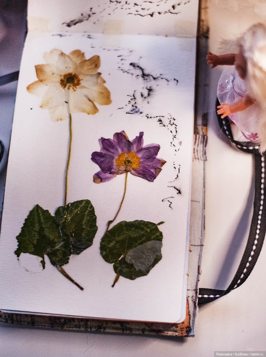 Колокольчиковые феи встретили подругу, и еще раз о засушивании цветов