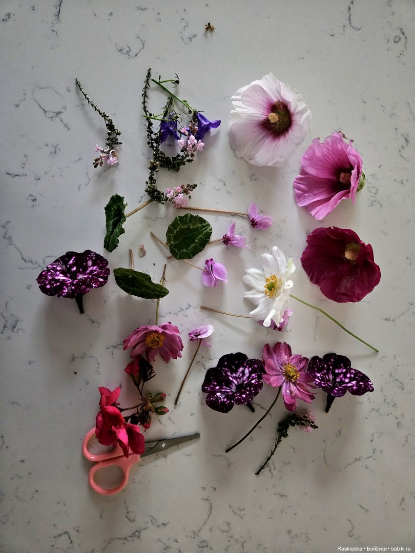 Колокольчиковые феи встретили подругу, и еще раз о засушивании цветов