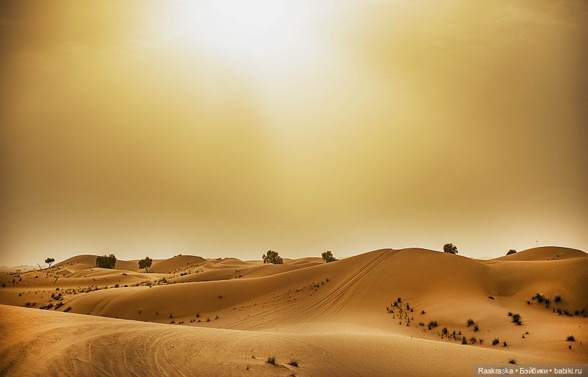 Волшебное лето - 13 - Начало прощания 🏖