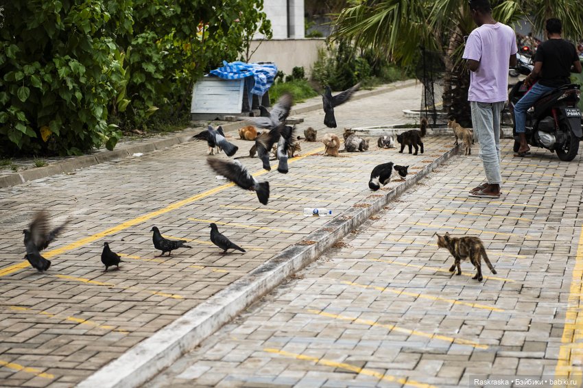 Волшебное лето - 13 - Начало прощания 🏖