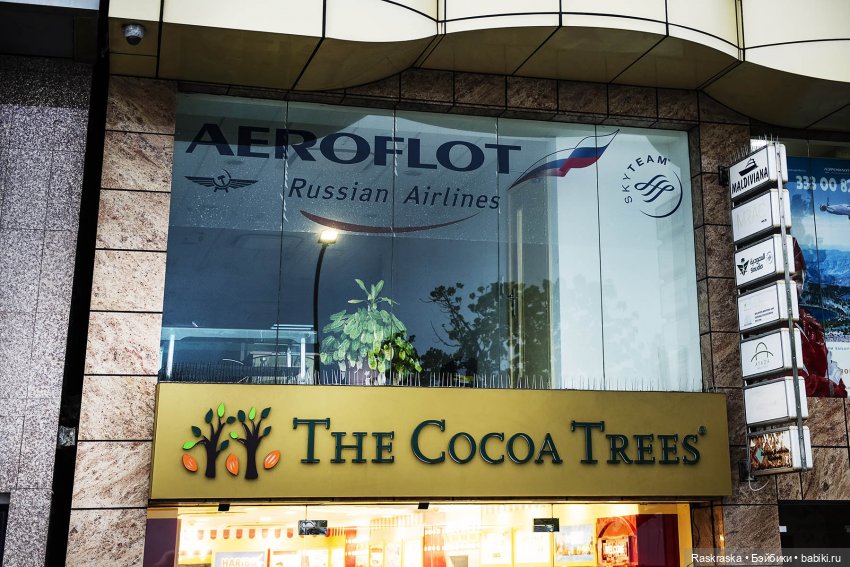 Волшебное лето - 13 - Начало прощания 🏖