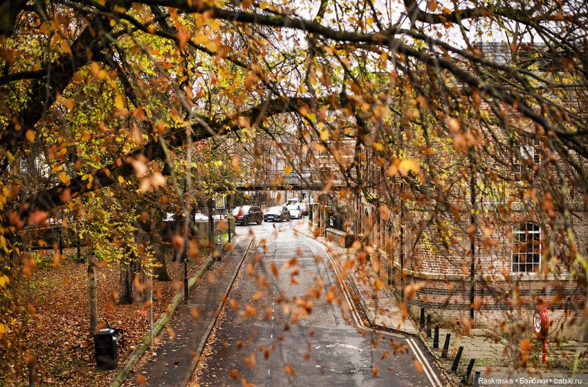 Посещение выставки кукольных домов и миниатюры в Йорке и сам Йорк! York, North Yorkshire, England