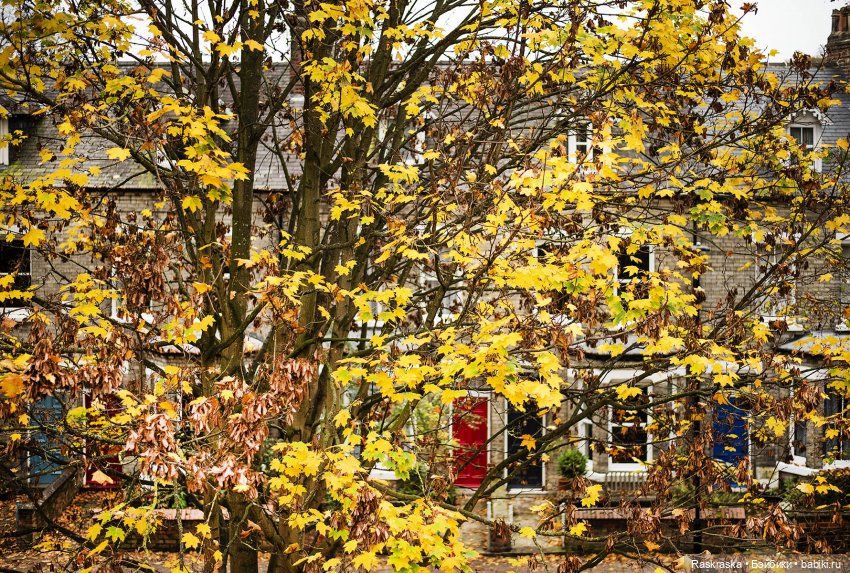 Посещение выставки кукольных домов и миниатюры в Йорке и сам Йорк! York, North Yorkshire, England