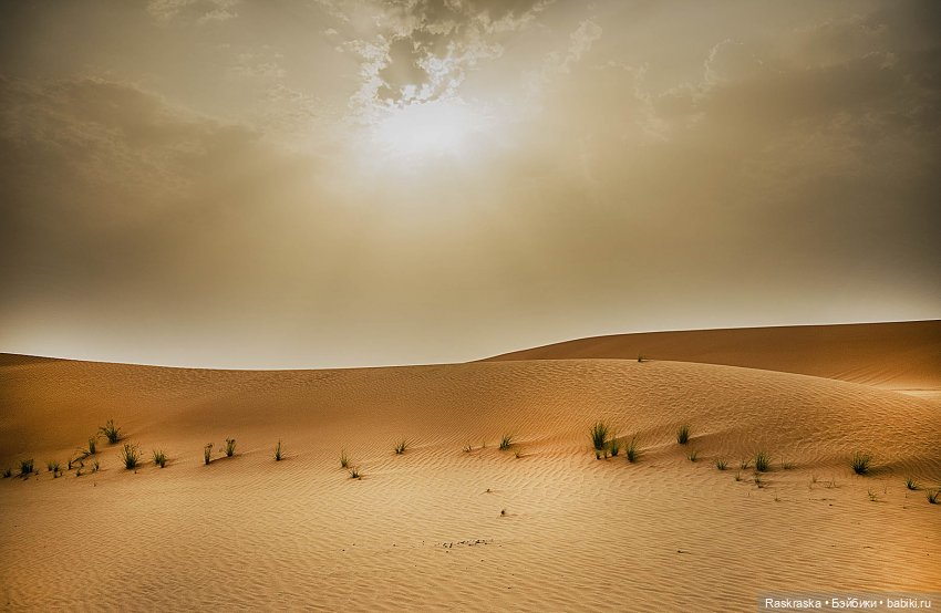 Волшебное Лето 14 - Руруко в Абу-Даби