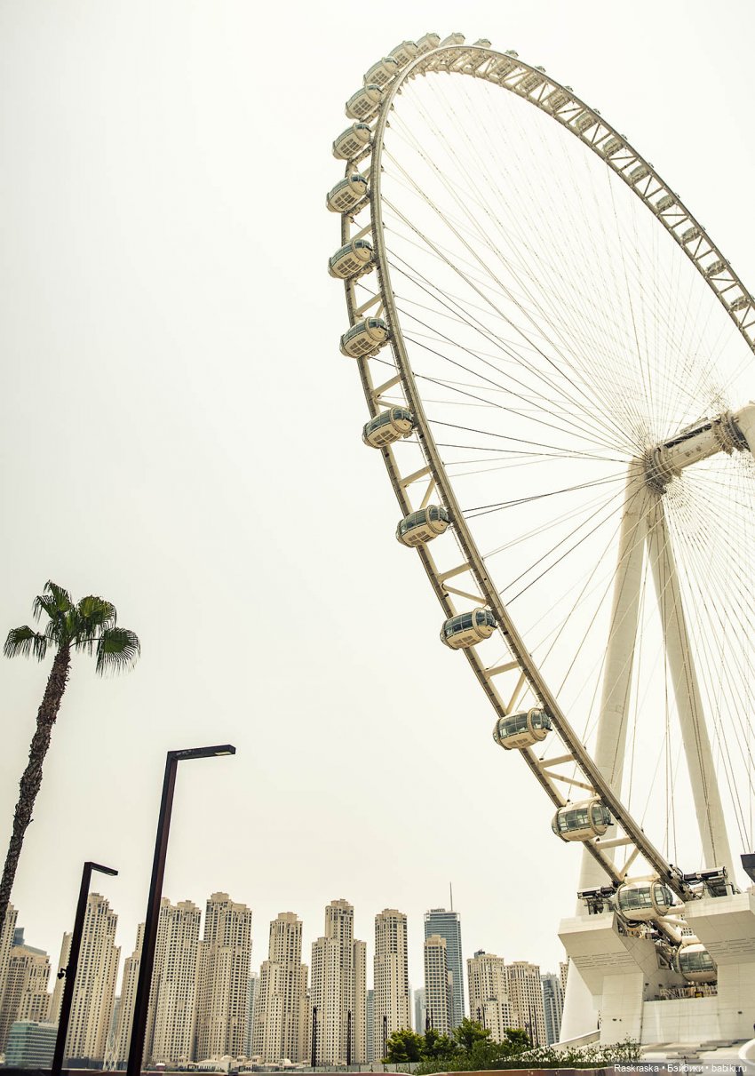 Волшебное Лето 15 - заключительная серия - до свидания, теплые страны! 🌅 (фото 3)