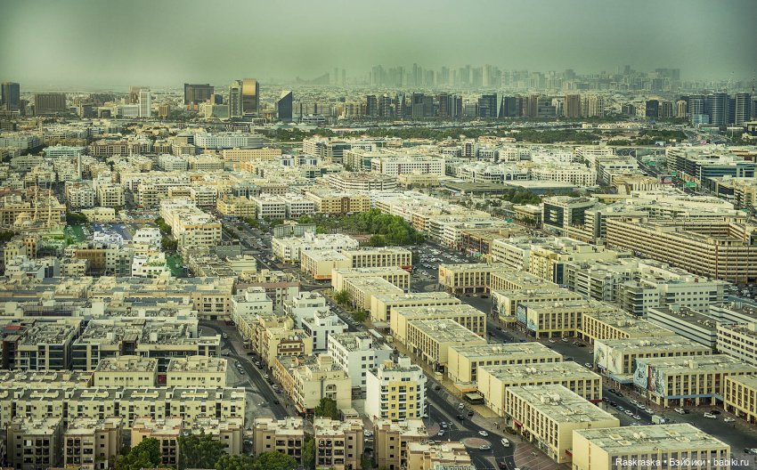 Волшебное Лето 15 - заключительная серия - до свидания, теплые страны! 🌅