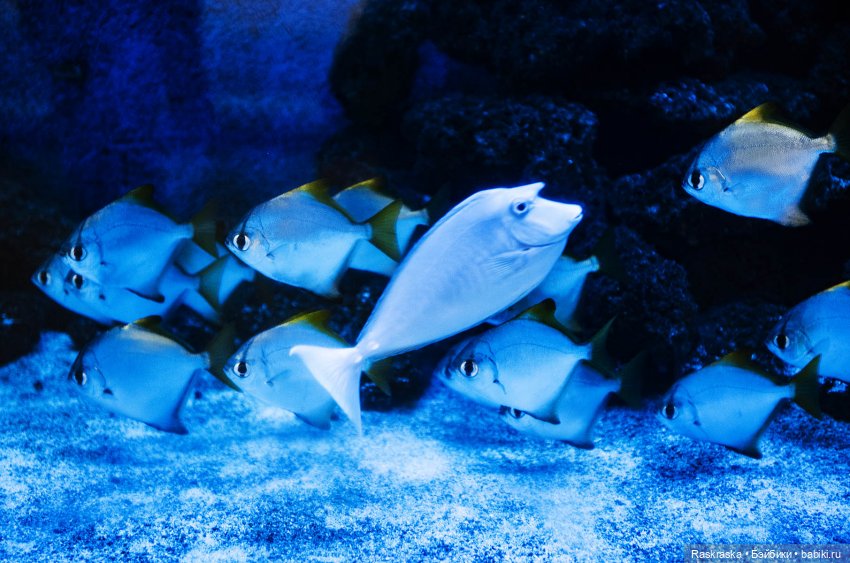 Волшебное Лето 15 - заключительная серия - до свидания, теплые страны! 🌅 (фото 10)