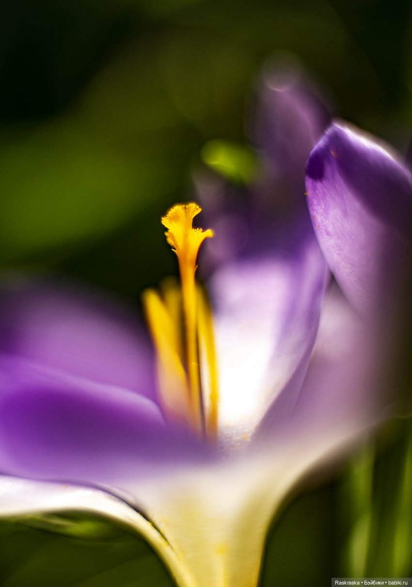 Весточка для друга — Интересные игрушки и фигурки (разное): редкие