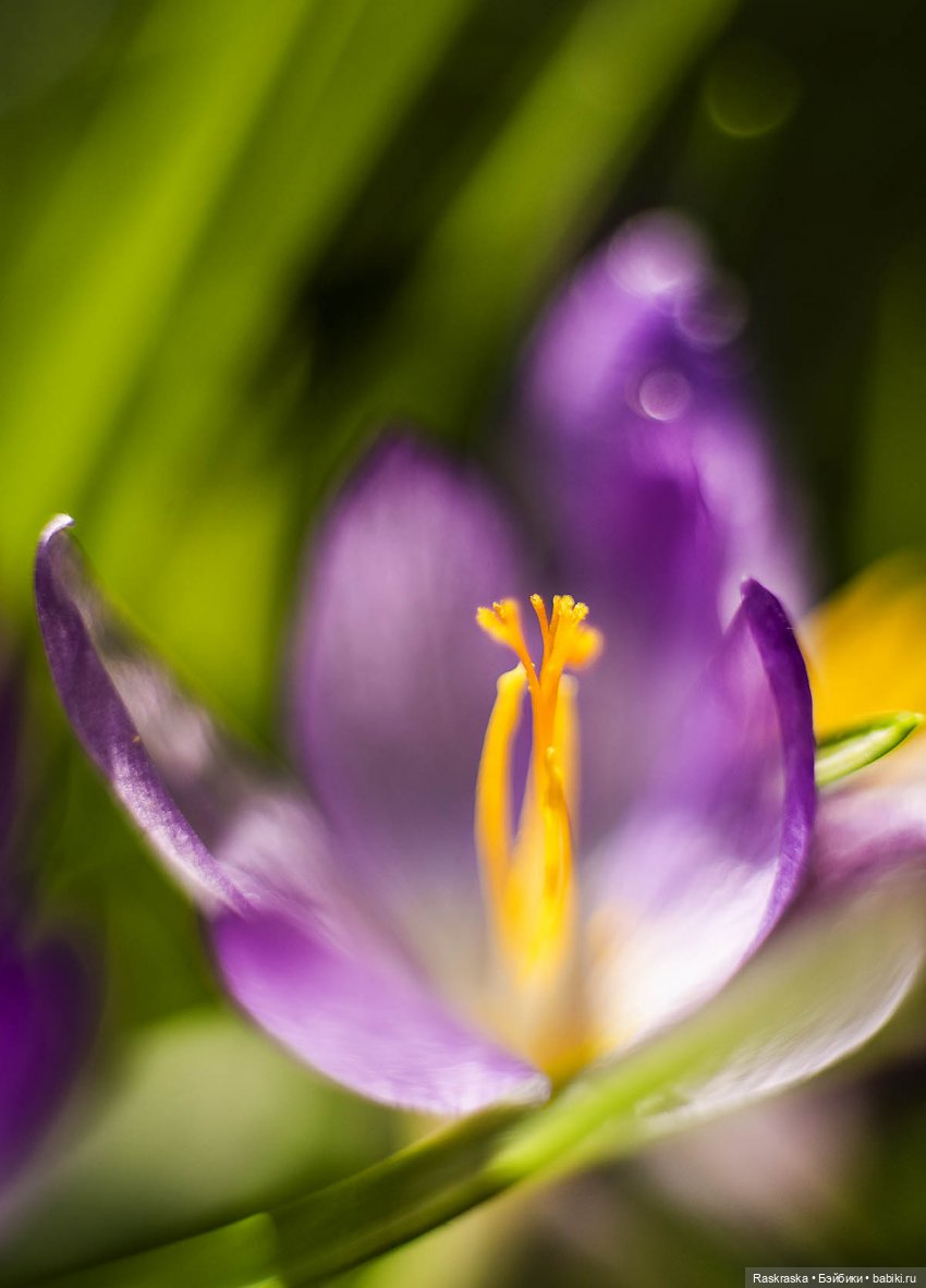 Весточка для друга — Интересные игрушки и фигурки (разное): редкие (фото 6)