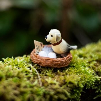 Весточка для друга